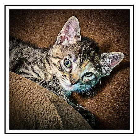 014_DB-Daily Buster IMG_1966-Edit