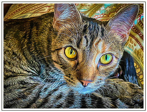 113_DB-IMG_0499-Edit-Edit-Edit