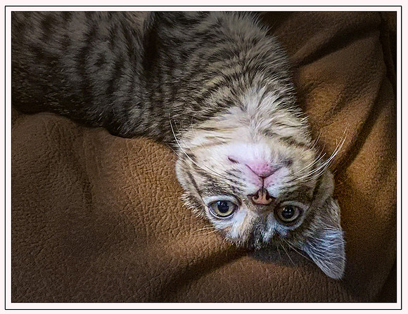 024_DB-IMG_2131-Edit-Edit-Edit