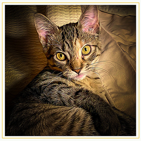 005_DB-IMG_2491-Edit-Edit